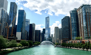 River Between Trees and Chicago City Skyscrapers