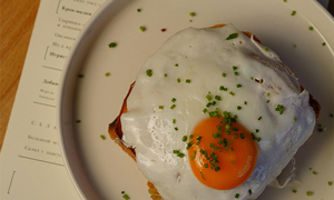 Fried Egg on a Toasted Bread